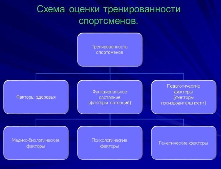 Схема оценки тренированности спортсменов.